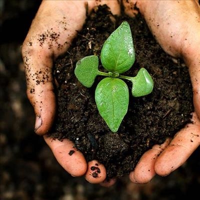 To discover Africa's biodiversity, look to the soil 