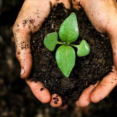 To discover Africa's biodiversity, look to the soil 
