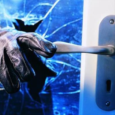 Petty theft remains a major problem