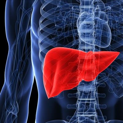 Love your liver