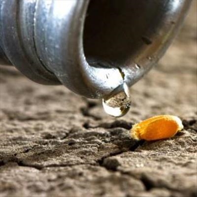 Agriculture and water scarcity - it's time to act 