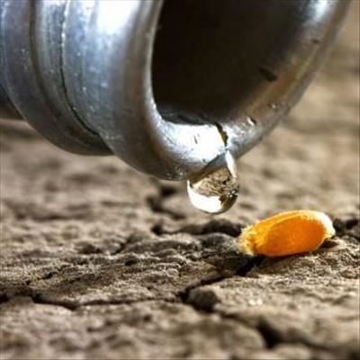 Agriculture and water scarcity - it's time to act 