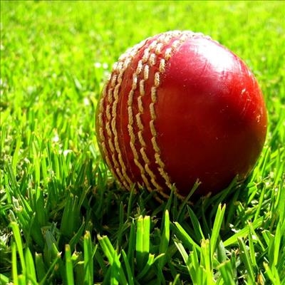 Junior cricket cancelled