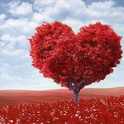 Happy Valentine's Day