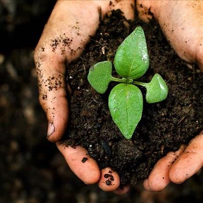 Failure to help small farmers adapt will compromise future food production 