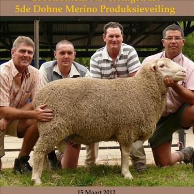 10de produksieveiling op Middelburg