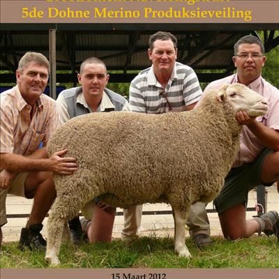 10de produksieveiling op Middelburg