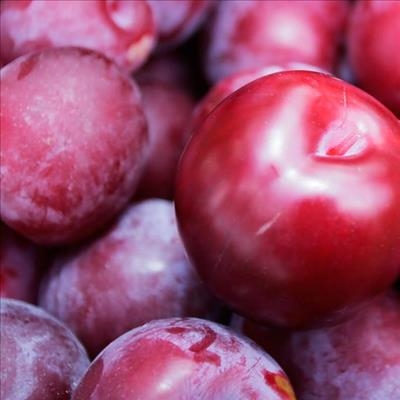 Local plum exports affected by smaller fruit 