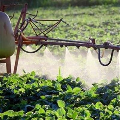 Debate over glyphosate rages in South Africa 