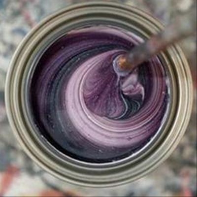 Paint named after Selena Gomez album