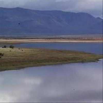 Birding weekend at national park
