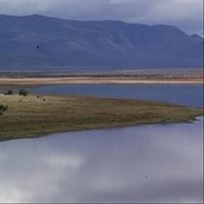 Birding weekend at national park