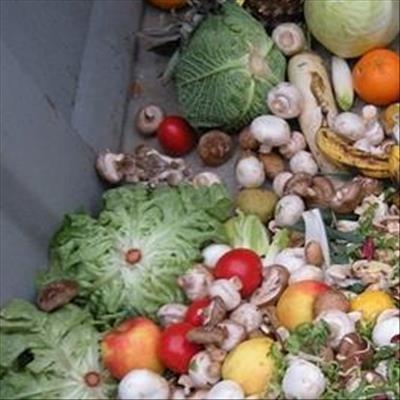 Experts seek ways to reduce food wastage
