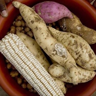 Global future food security in jeopardy warns FAO report