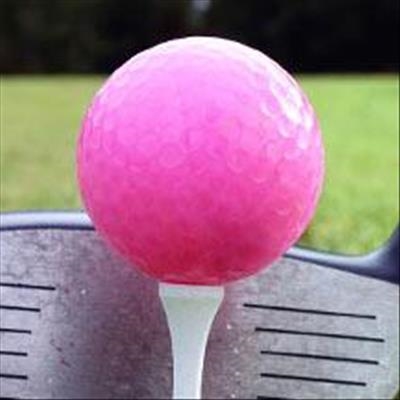 Local businesses support ladies golf