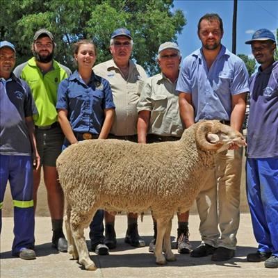 Ram haal R21 000 op veiling