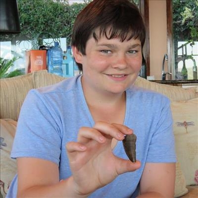 Dinosaur tooth discovery