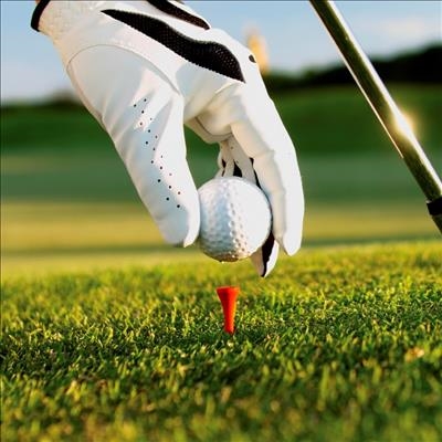 Ladies Fun Golf Day a great success