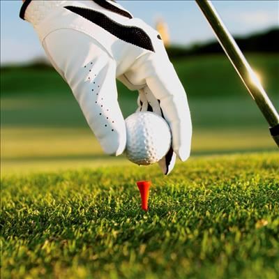 Ladies Fun Golf Day a great success