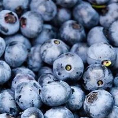 Blueberries boost brain function