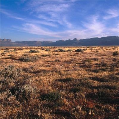 Tasman misses document deadline for Karoo uranium mining
