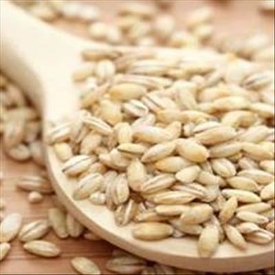 Compiling a fertilisation programme for a barley crop