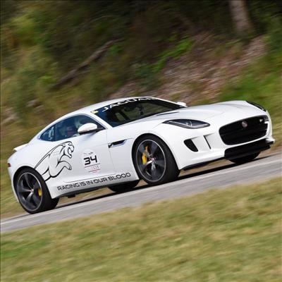 Race is on for King of the Hill