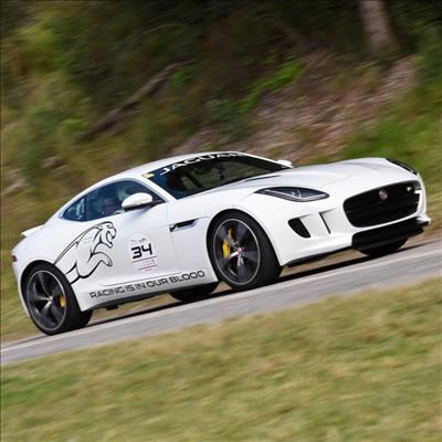 Race is on for King of the Hill