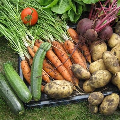 Avoid these garden mistakes 
