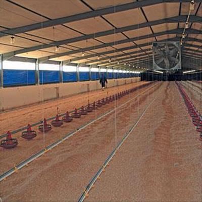 Poultry: Choose the right bedding for better broilers