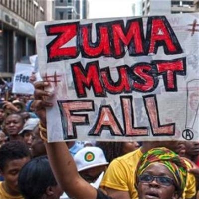 'Anti-Zuma marches are not in vain'