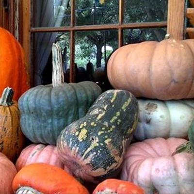 "Bright Lights, Big City" to feature at Bethesda's Pump Palooza
