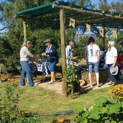 Garden and Home Club visits Fairfield