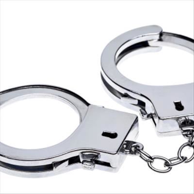 Woman detained after smuggling animal parts