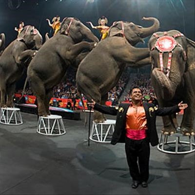 Famous circus stages final show