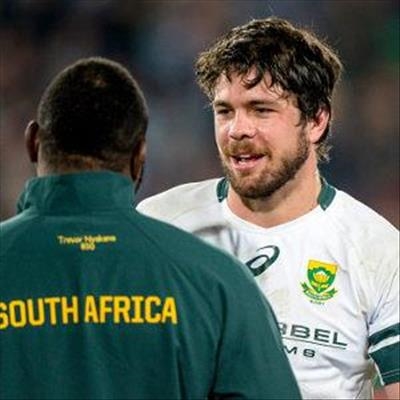 Springboks in Plettenberg Bay next week