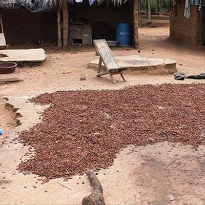 Indigenous foods of Africa Festival 