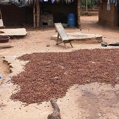 Indigenous foods of Africa Festival 