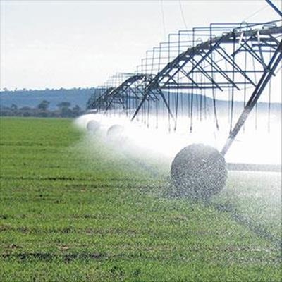 The risk of polluted irrigation water 