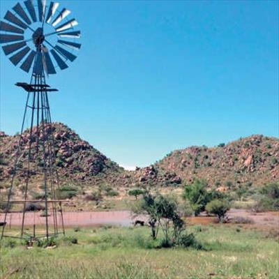Always manage grazing with drought in mind 