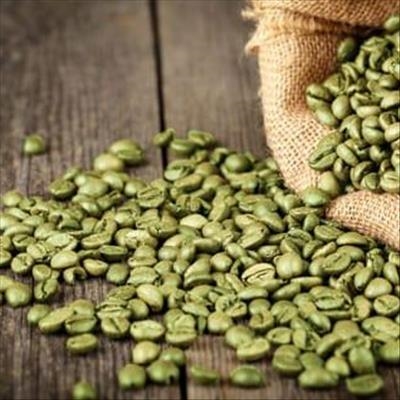Supplement: Green coffee extract 