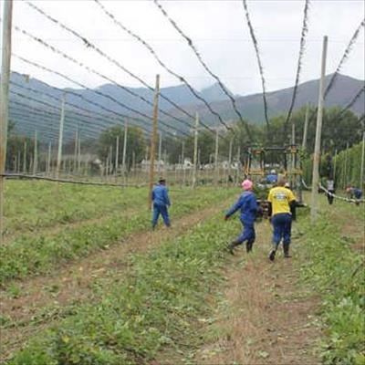 Celebrating agriculture’s unsung heroes