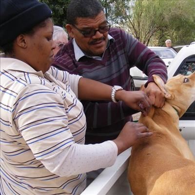 Second case of rabies confirmed
