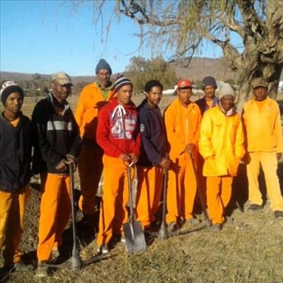 New trees for Nieu-Bethesda