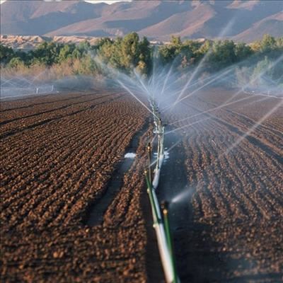 Don’t drown your crops' roots!