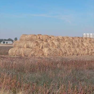 Aid for producers in dry Northern and Western Cape 
