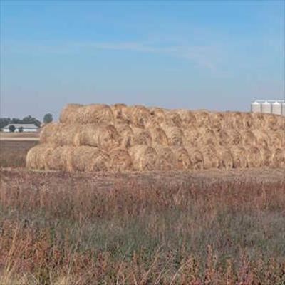 Aid for producers in dry Northern and Western Cape 