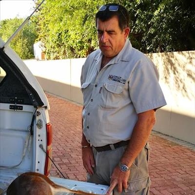 Dragtige bokkie dood na tref en trap