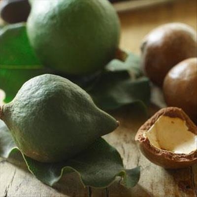 New market opportunities for SA’s macadamias 