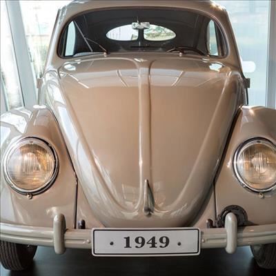 Oldest Beetle in the country on show 